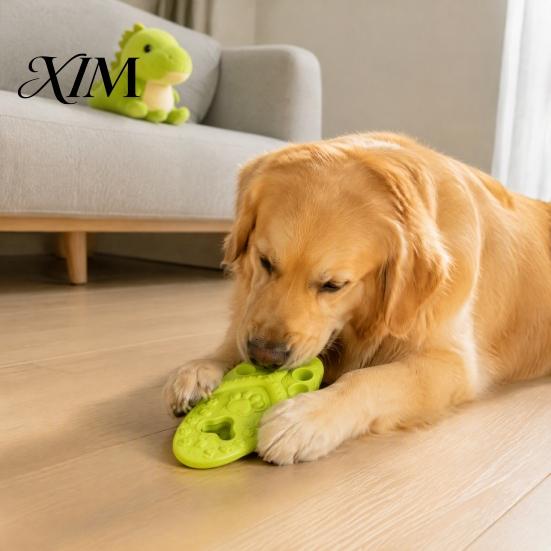Teething Toys for Puppies Slipper Dog Chew Toy, Puppy Thong Sandal Shape, Interactive Durable Fetch Toy Small to Large Dogs, Pet Training