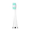 Portable Electric Dental Scaler & Toothbrush Set - Teeth Cleaning, Plaque & Calculus Removal, Whitening Device