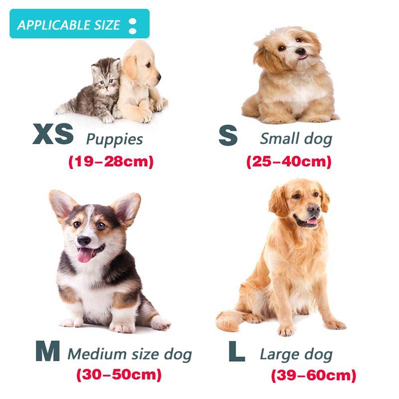 Hundehalsband aus Leinenimitat mit verstellbarem Nylon-Hundehalsband, Haustier-Zugleine, geeignet für kleine und mittelgroße Haustiere