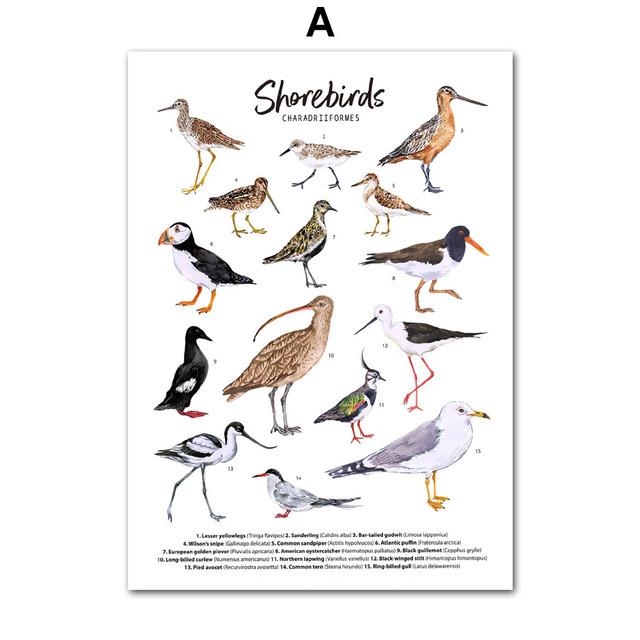 

Насекомые, птицы, бабочки, сафари, образовательные плакаты с животными и принты, холст, украшение для детской комнаты, домашние картины, детская комната 21*30cm