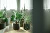 Kinto Plant Pot Earth 29199 191, Gray, 170x160mm,