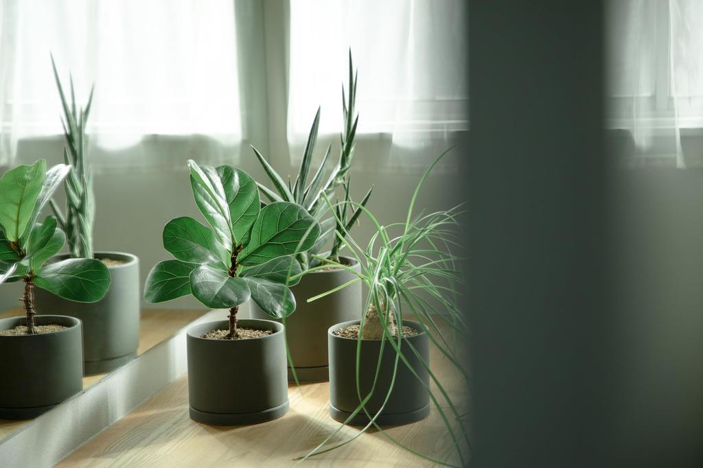 Kinto Plant Pot Earth 29199 191, Gray, 170x160mm,