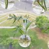 4pcs/set with Suction Cups Plant Hydroponic Vase Transparent Hanging Fish Tank  Living Room