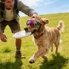 Stylish Pet Windproof Goggles & Dog Sunglasses: Adjustable Straps For Small-Large Dogs & Cats, UV  Eye Guard