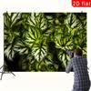 2D Exotic Plant Backdrop, Lush Green and White Leaves Photography Background