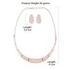 Rose Cubic Zirconia Party Bling Necklace & Earring Set For Women