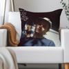 Pop Rock Singer M-mac D-demarco Pillow Case Applicable Space For Guest Rooms Interiors Cars Office House Decoration