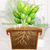 Coconut Fiber Mulch Ring Tree Plant Protector Mat Tree Protection Ring Plant Pot Soil Cover Veranda Garden Greenhouse Tarpaulin