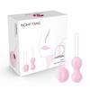 Kegel Balls - Nomi Tang Intimate Kegel Set Sakura Pink