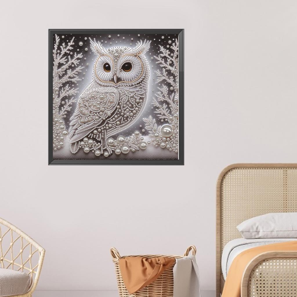 Owl Special Shaped 5D DIY Partial Drill Diamond Painting Kits for Adults DIY Gift Home Decor Diamonds Dots Gem Art Kits 30x30cm