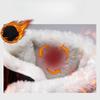 Winter New Women's Boots Thick Soled Shoes Warm High Cut Snow Boots Outdoor White Plush Comfortable Waterproof Fur Walking Shoes