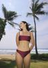 Syelkeollegteo Miya Bikini Bottom Wine