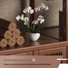 Beifu Modern Wooden Multi-Purpose Display Shelf