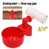5Pcs Chicken Water Bowl Automatic Drinker Cups Thread Filling Waterer Poultry Drinking Bowl for Chickens Quail Bird Cage