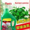 Abdo Universal Plant Nutrient Solution