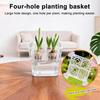 Tulip Bulb Planter 4-Cell Hydroponic Flower Pot with Reservoir Clear Plant Pot with Inner Drainage Pot for Indoor Gardening