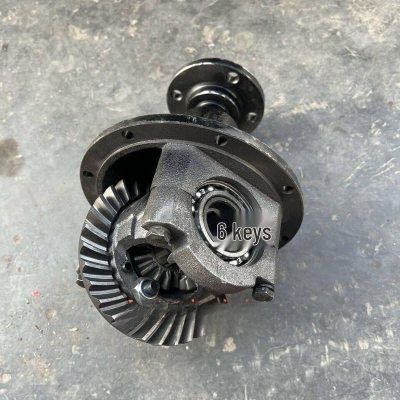 Rongyu Small Loader Rear Axle Differential Assembly