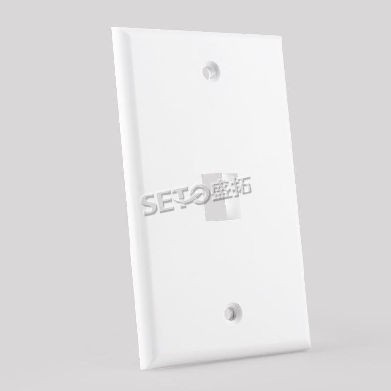 White Dual Port Network Keystone Jack 115 70mm American Panel Module