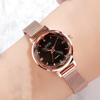 Small Student Watch, Simple Literary Waterproof Stainless Steel Mesh Belt Watch, Women'S Versatile Quartz Watch