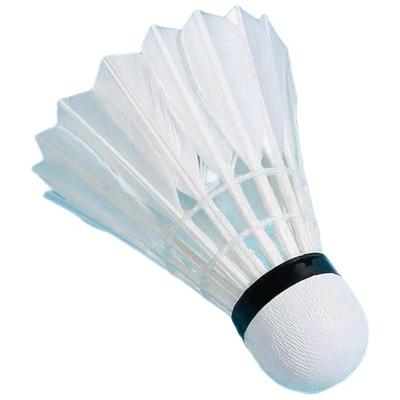 Badmintonas – Šaudyklės