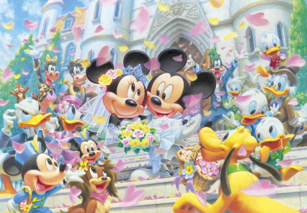 

Пазл из 500 деталей Disney Flower Shower Dream Gyutto Series [Витражное искусство] (25x36см) [Элемент]