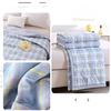 Skin-friendly Air-conditioning Quilt Single Double Summer Cool Quilt Spring and Autumn Thin Quilt
