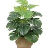 Artificial Bionic Green Plants: Floor-Standing Turtle Back Leaves Ornament for Living Room and Bedroom Decor