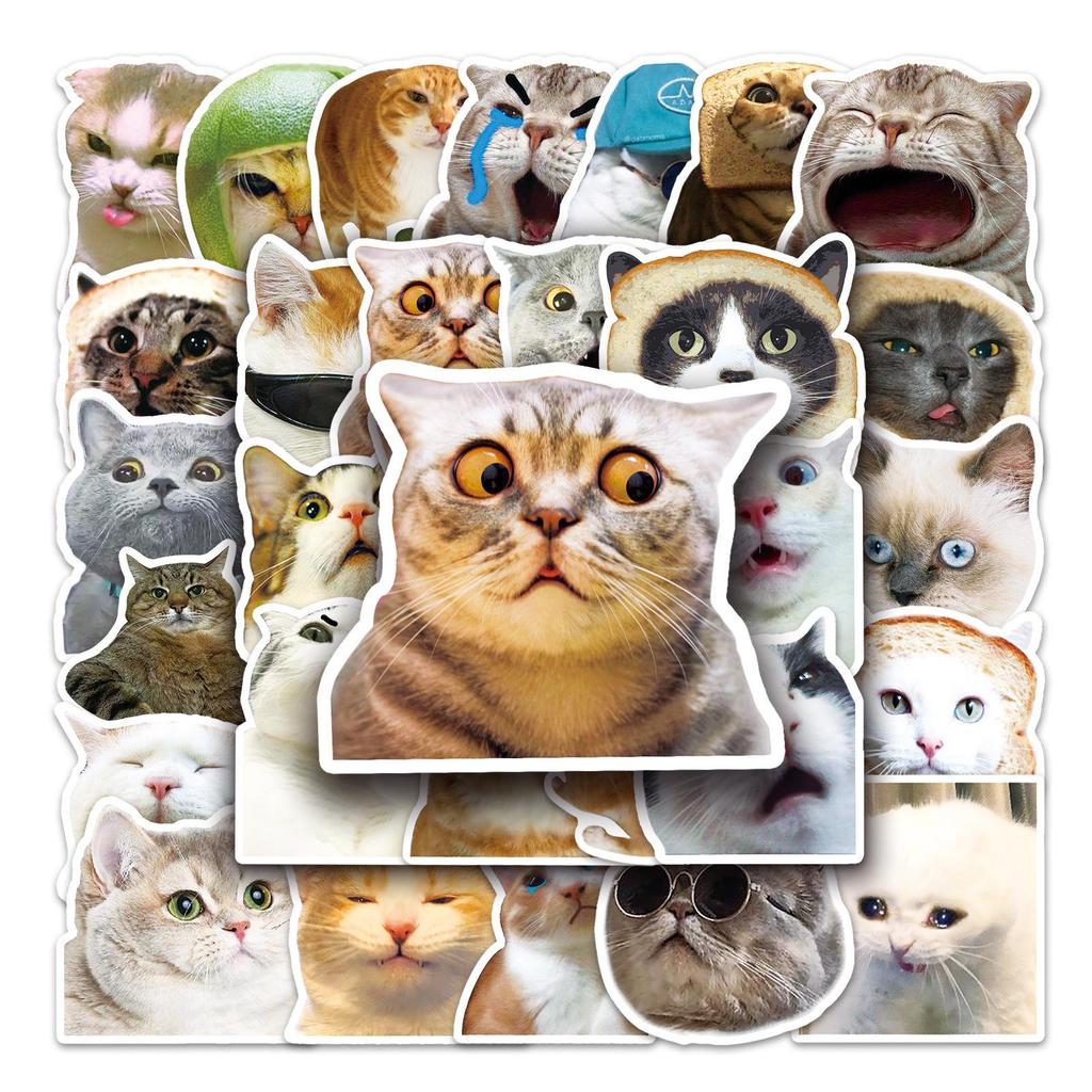 Waterproof Cat Expressions Sticker Set: Creative DIY for Notebooks, Phone Cases, Cups, and More!