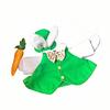 Unique Geese Set Green Waistcoat Door Geese Outfit Outdoor Geese Dress For Annual Gatherings And Home embellishment