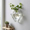 Irregular Shape Hydroponic Vase Transparent Wall Mounted Glass Vase Plant Propagation Glass Crafts Wall Hanging Vase