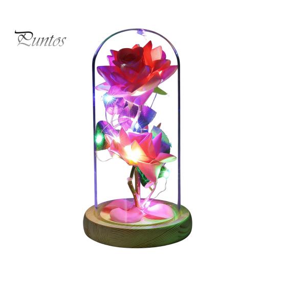 No Maintenance Flower Gift Rose Gifts for Her Mom Wife Grandma Light Up Eternal Lasting in A Dome Romantic Anniversary Birthday Valentine's