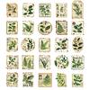 50 Botanical Garden Label Stickers for Journals, Phones, Guitars, Water Cups - Green Eye Protection