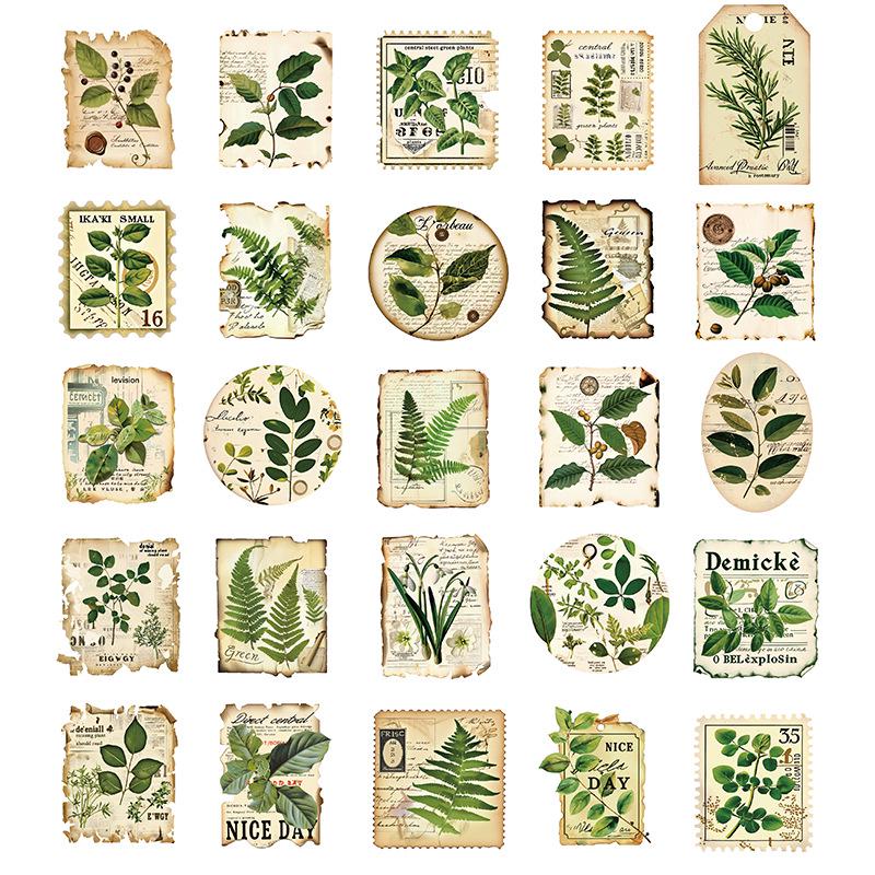 50 Botanical Garden Label Stickers for Journals, Phones, Guitars, Water Cups - Green Eye Protection
