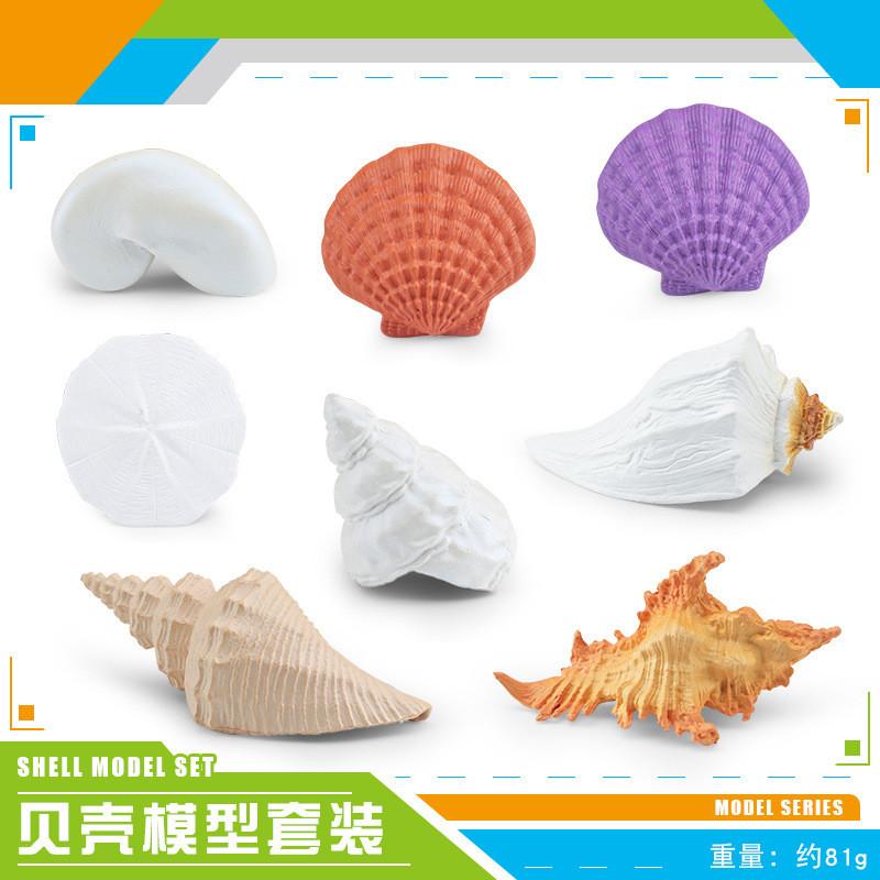 

Premium Pvc Shell Model Set With 8 Unique Realistic Ocean Shells For Home Decor