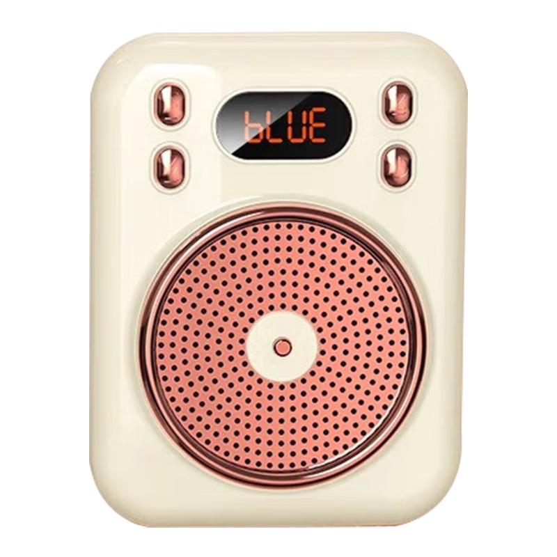 EARISE Portable Voice Amplifier with Microphone