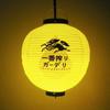 30cm Japanese Izakaya Outdoor Waterproof Decor Lanterns Sake Sushi Lamian Noodles Salmon Cuisine Restaurant Advertising Lantern