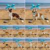 Dog Ornament Acrylic Dog Decoration Colorful Acrylic Dog Suncatcher Ornament Stained Glass Breed Hanging Decor for Lovers