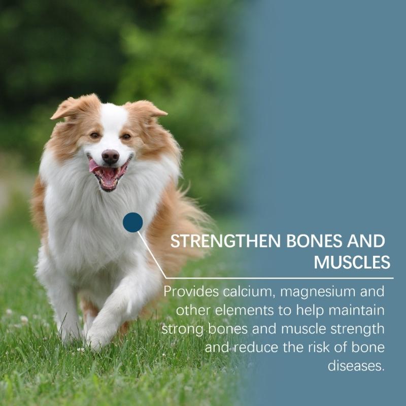 Minerals Supplement Tablets for Dogs 80 Tablets Support Healthy Growth and Daily Nutrition Need Immune Improve