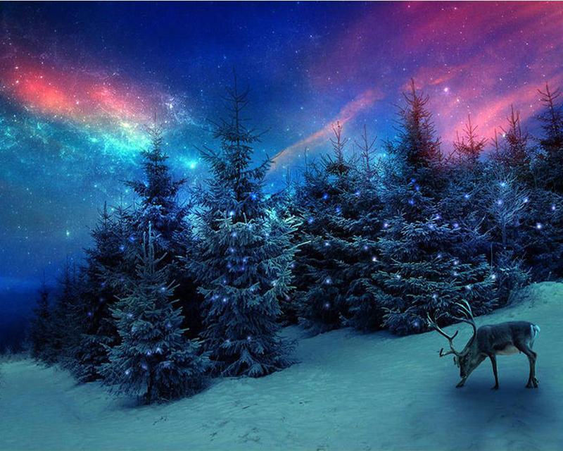 

5D DIY Алмазная вышивка Цветок Дерево и Птица Полный квадратный круглый Рукоделие Алмазная картина Фламинго Животные Ремесло Подарок ручной работы Full Square 20X30CM светло-синий