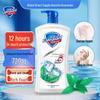 Safeguard Healthy Clean Mint Shower Gel