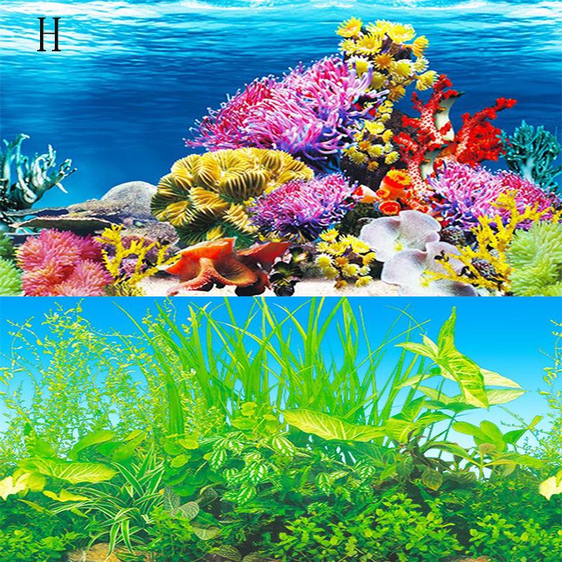Buy 30*62cm Aquarium Marine Decoratons Accessory Fish Tank Background Seascape Poster at affordable prices — free shipping, real reviews with photos — Joom buy-30-62cm-aquarium-marine-decoratons-accessory-fish-tank-background-seascape-poster-at-affordable-prices-free-shipping-real-reviews-with-photos-joom
