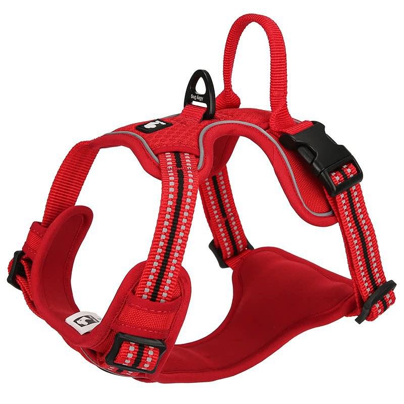 Adjustable Harness Vest With Leash Small Medium Large Dogs Anti-Pull Chest Strap Walking Control