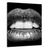 GLASS PLATE BOARD PANEL TABLETOP 40x52 MOUTH