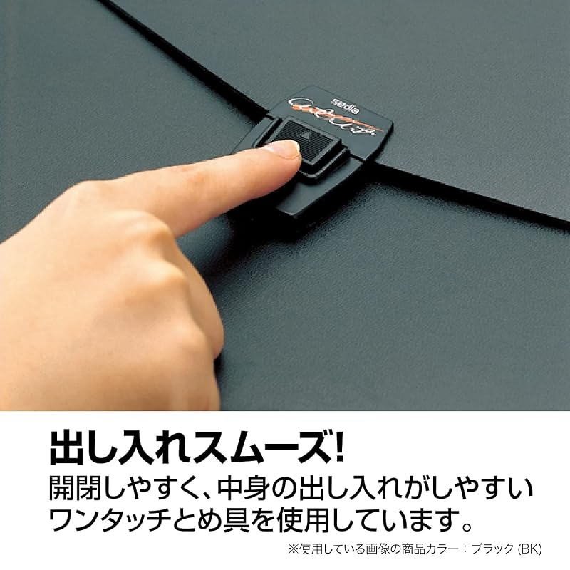 Sekisei Document File Art Case Flat A3 Black ART-702