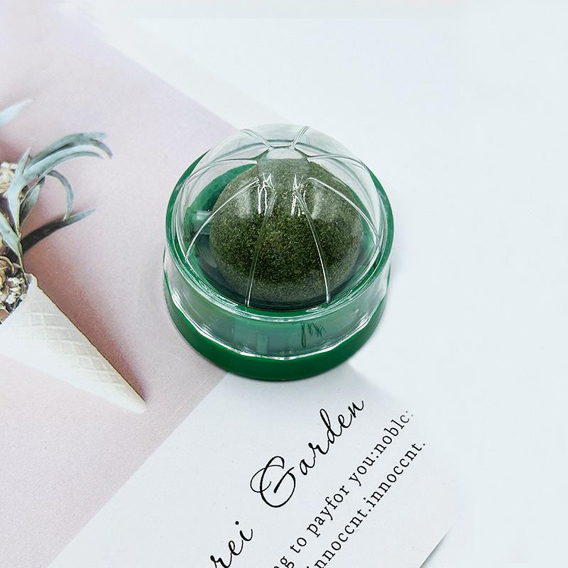 Catnip Matatabi Teasing Ball and Chew Stick for Kitten Play