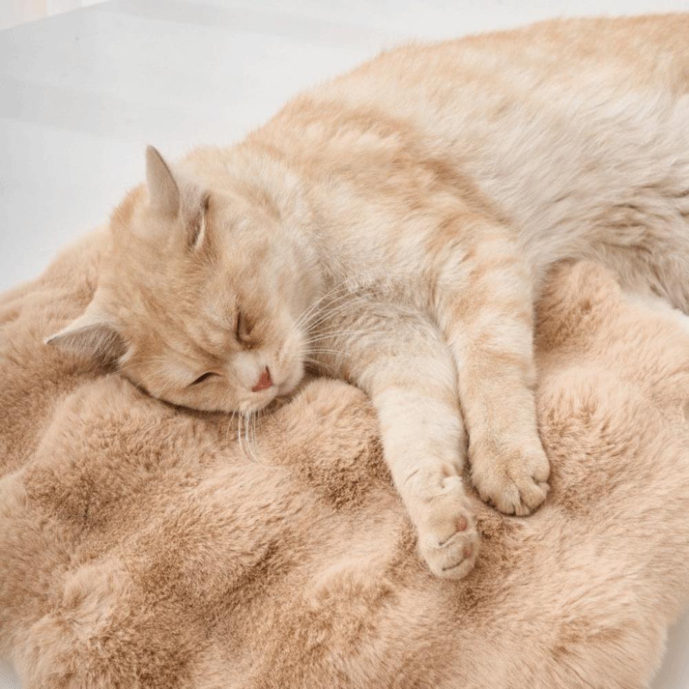 Puppy Nest Mat Warm Cat Nest Non-Slip Fleece Dog Sleeping Pad Soft Round Cat Floor Mat Pet Accessories
