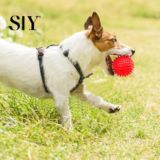 Interactive Pet Toy Squeaky Dog Chewing Sound Ball Safe Teeth Cleaning Puppy Chew Self-pleasure Balls Training Toys Supplies for Boredom Relief Dental