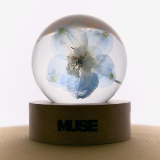 K-POP・アジア MUSE PAPER WEIGHT FACE CD K-POP・アジア MUSE PAPER WEIGHT FACE CD Jimin 'MUSE' Paper