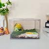 Acrylic Transparent Hermit Crab Terrarium With Escape-Proof Design Coconut Fiber Substrate Setup Reptiles Geckos