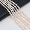 36cm Strand 5-6mm Natural Freshwater Rice Pearls Spacer Beads DIY Earring Necklace Bracelet Parts